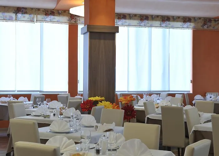 President 비비오네