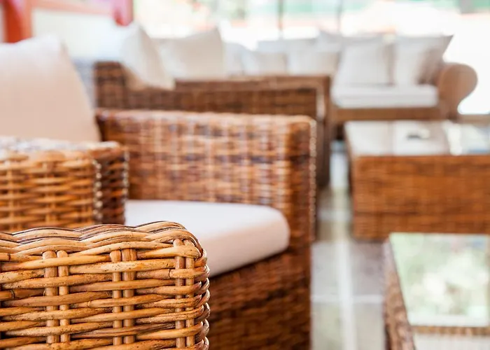 President 비비오네